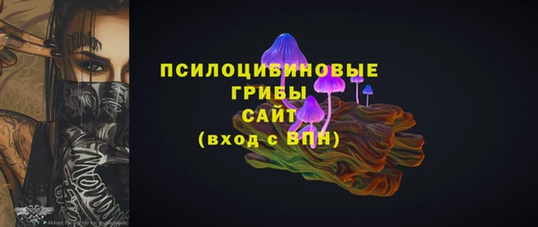 гашик Алзамай