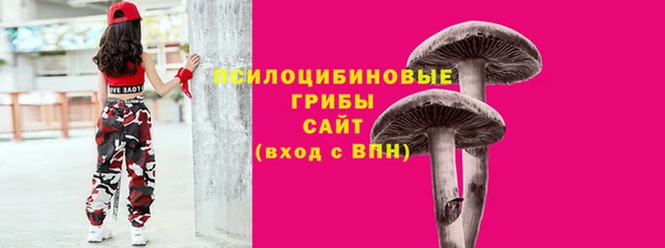 гашик Алзамай