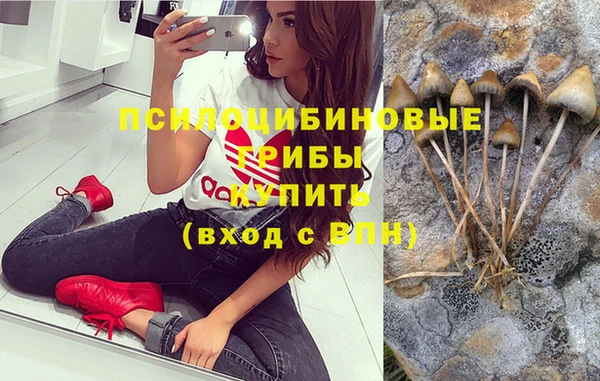 гашик Алзамай