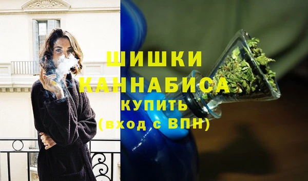 индика Алексин